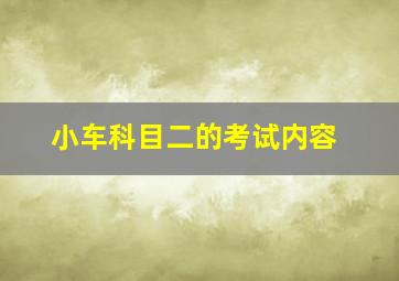 小车科目二的考试内容