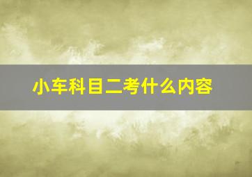 小车科目二考什么内容