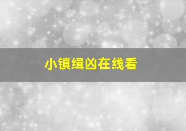 小镇缉凶在线看