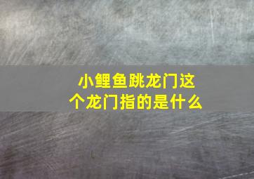 小鲤鱼跳龙门这个龙门指的是什么