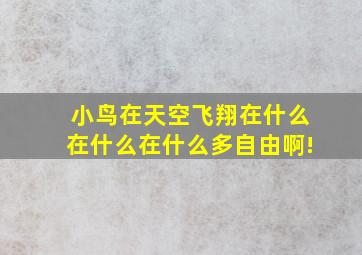 小鸟在天空飞翔在什么在什么在什么多自由啊!