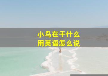 小鸟在干什么用英语怎么说