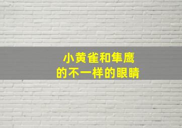 小黄雀和隼鹰的不一样的眼睛