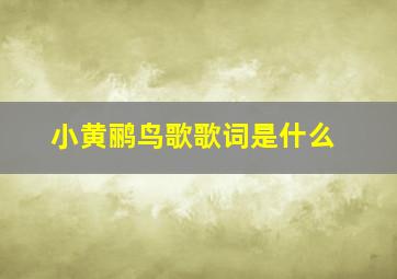 小黄鹂鸟歌歌词是什么