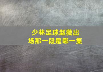 少林足球赵薇出场那一段是哪一集