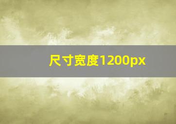 尺寸宽度1200px