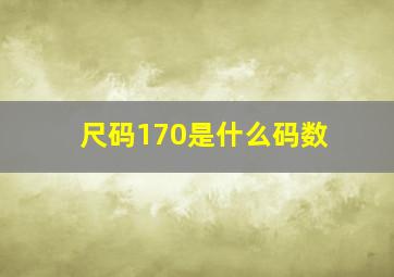 尺码170是什么码数