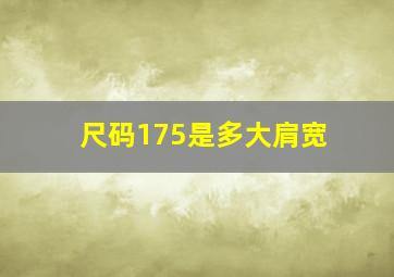 尺码175是多大肩宽