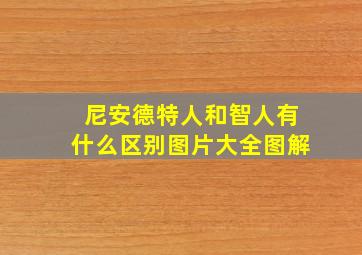 尼安德特人和智人有什么区别图片大全图解