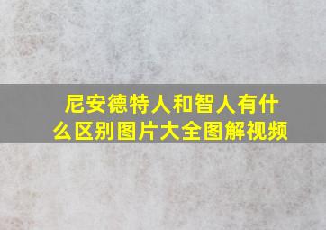 尼安德特人和智人有什么区别图片大全图解视频