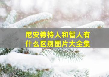 尼安德特人和智人有什么区别图片大全集