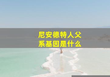 尼安德特人父系基因是什么