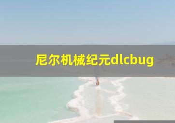 尼尔机械纪元dlcbug