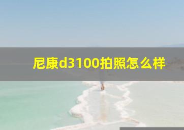 尼康d3100拍照怎么样