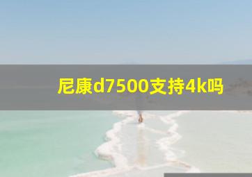 尼康d7500支持4k吗