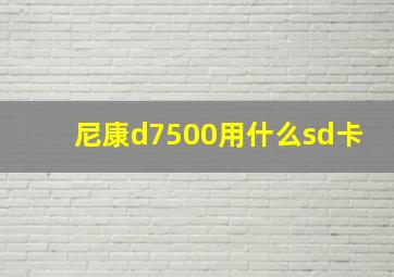 尼康d7500用什么sd卡