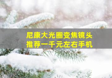 尼康大光圈变焦镜头推荐一千元左右手机