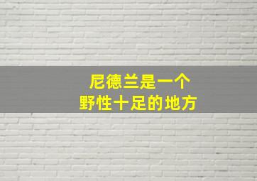 尼德兰是一个野性十足的地方