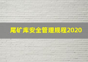 尾矿库安全管理规程2020