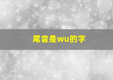 尾音是wu的字