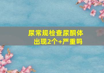 尿常规检查尿酮体出现2个+严重吗