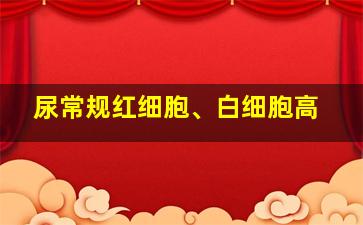 尿常规红细胞、白细胞高