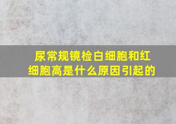 尿常规镜检白细胞和红细胞高是什么原因引起的