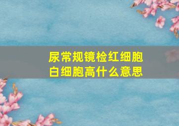 尿常规镜检红细胞白细胞高什么意思