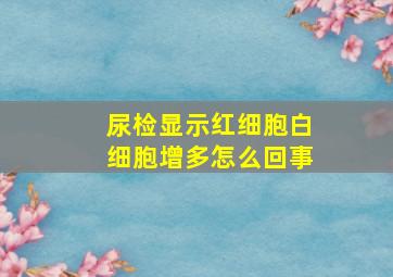 尿检显示红细胞白细胞增多怎么回事