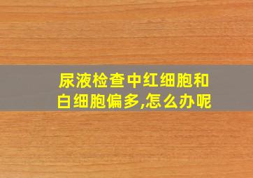 尿液检查中红细胞和白细胞偏多,怎么办呢