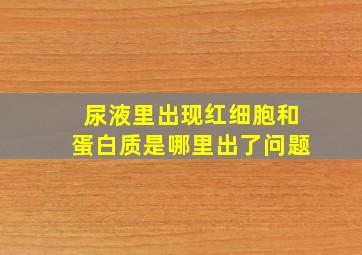 尿液里出现红细胞和蛋白质是哪里出了问题