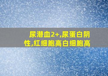 尿潜血2+,尿蛋白阴性,红细胞高白细胞高