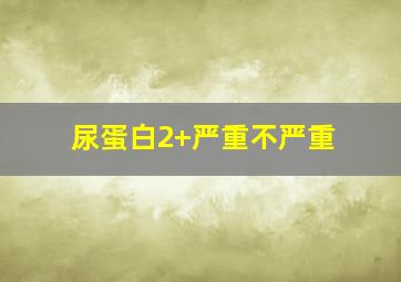 尿蛋白2+严重不严重