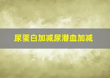 尿蛋白加减尿潜血加减