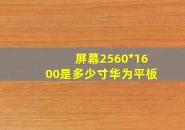 屏幕2560*1600是多少寸华为平板