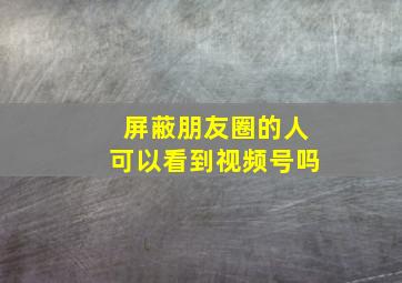 屏蔽朋友圈的人可以看到视频号吗