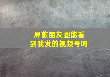 屏蔽朋友圈能看到我发的视频号吗