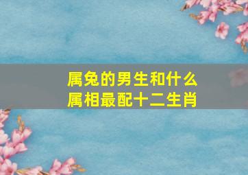 属兔的男生和什么属相最配十二生肖