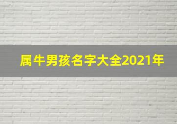 属牛男孩名字大全2021年