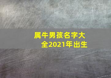 属牛男孩名字大全2021年出生