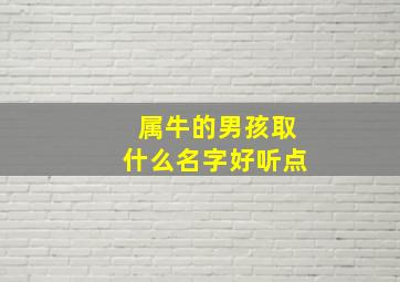 属牛的男孩取什么名字好听点