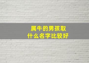 属牛的男孩取什么名字比较好