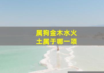 属狗金木水火土属于哪一项