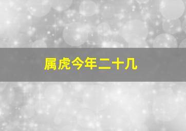 属虎今年二十几