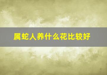 属蛇人养什么花比较好