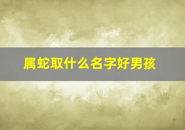 属蛇取什么名字好男孩