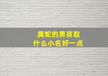 属蛇的男孩取什么小名好一点