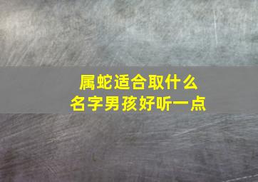 属蛇适合取什么名字男孩好听一点