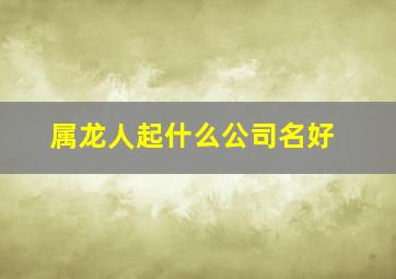 属龙人起什么公司名好