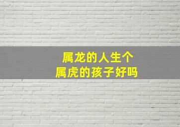 属龙的人生个属虎的孩子好吗